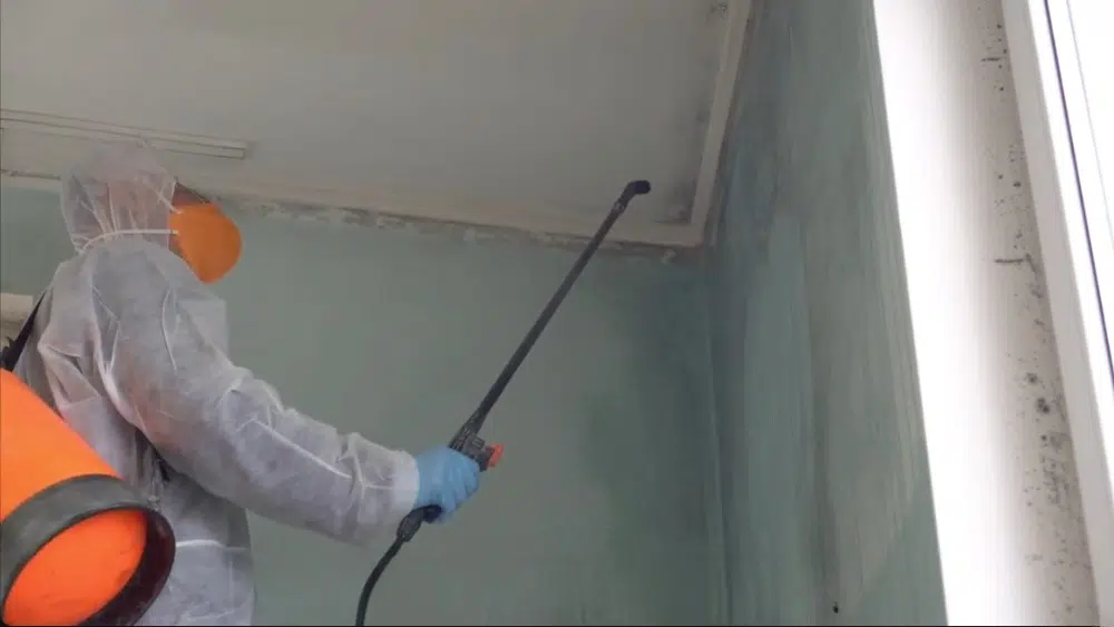 A professional performing mold testing for a home in Santa Clarita.