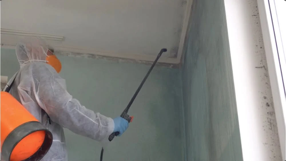 Technician in protective gear spraying treatment on a moldy ceiling to improve indoor air quality.